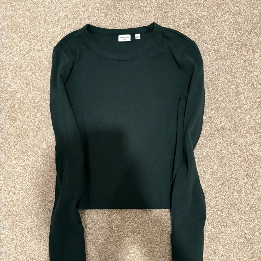 ❗️SOLD❗️Aritzia Sunday best little ribbed long sleeve crew neck t shirt